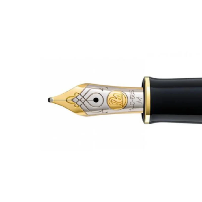 Pelikan M600 Nib Unit