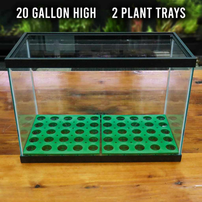 RPP Potted Plant Tray - Aquarium Co - Op