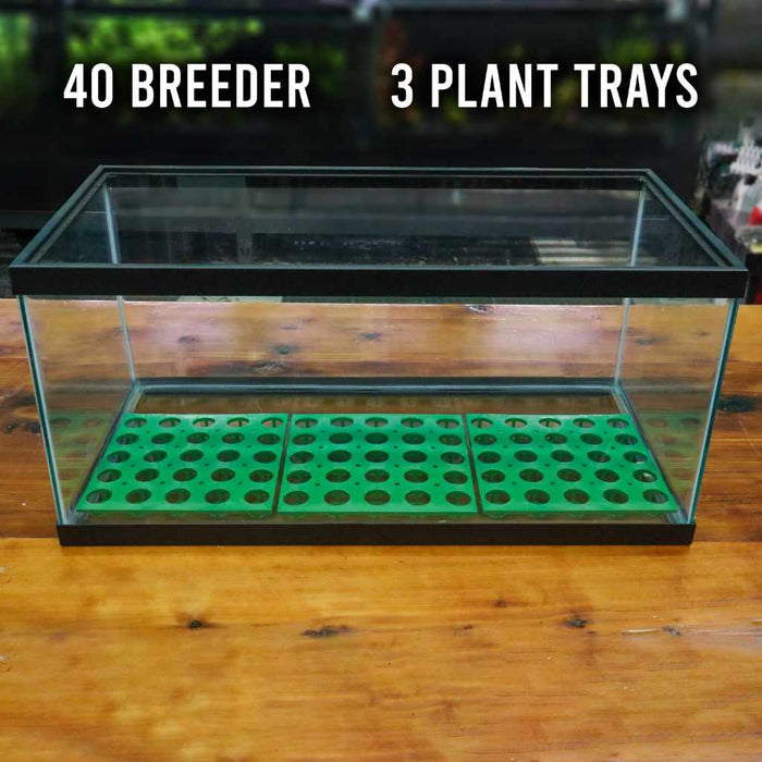 RPP Potted Plant Tray - Aquarium Co - Op