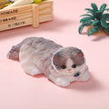 Premium Princess Cat Taba Squishy