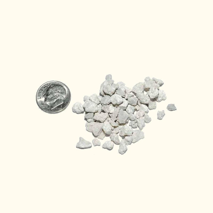 Scratch and Dent Crushed Coral 1 Pound - Aquarium Co - Op