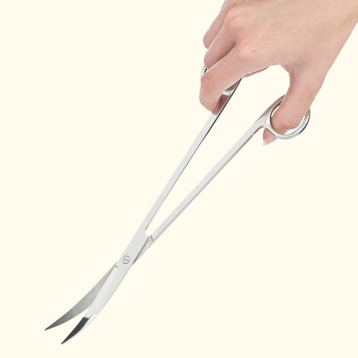 Scratch and Dent Curved Aquarium Plant Scissors - Aquarium Co - Op