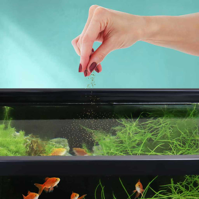 Scratch and Dent Easy Community Floating Pellets - Aquarium Co - Op