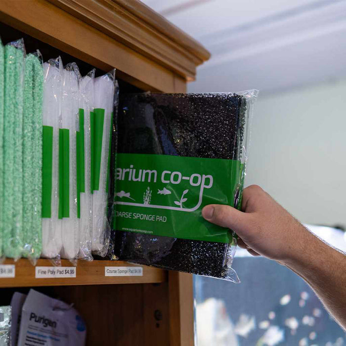 Sponge Pad Coarse - Aquarium Co - Op
