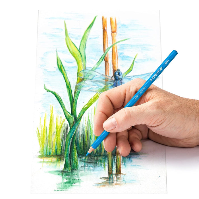 Staedtler Watercolour Pencils Set