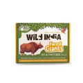 The Talking Canvas Wild India DIY Kit
