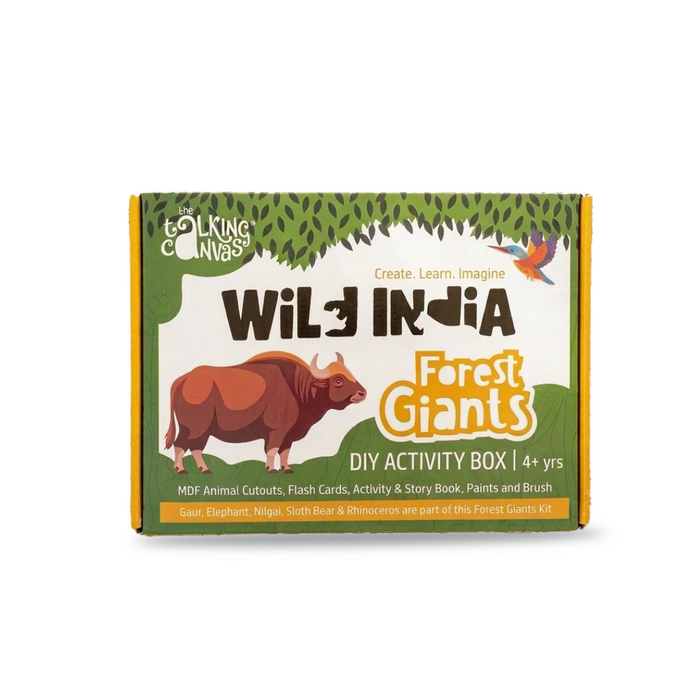 The Talking Canvas Wild India DIY Kit
