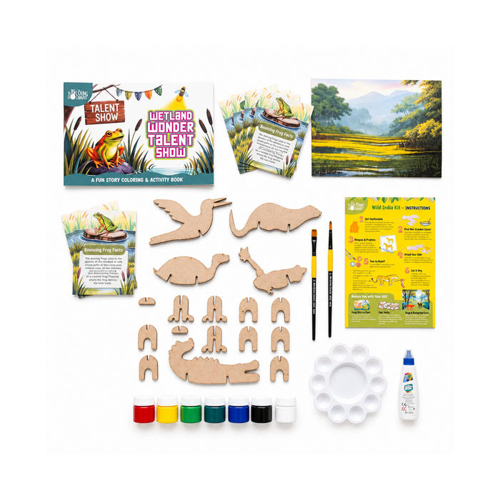 The Talking Canvas Wild India DIY Kit