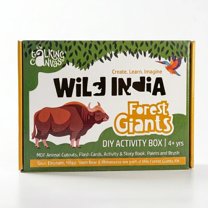 The Talking Canvas Wild India DIY Kit