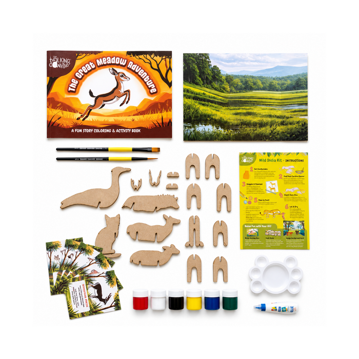 The Talking Canvas Wild India DIY Kit