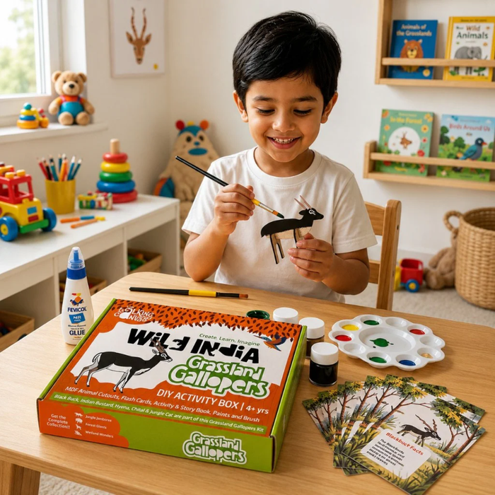 The Talking Canvas Wild India DIY Kit