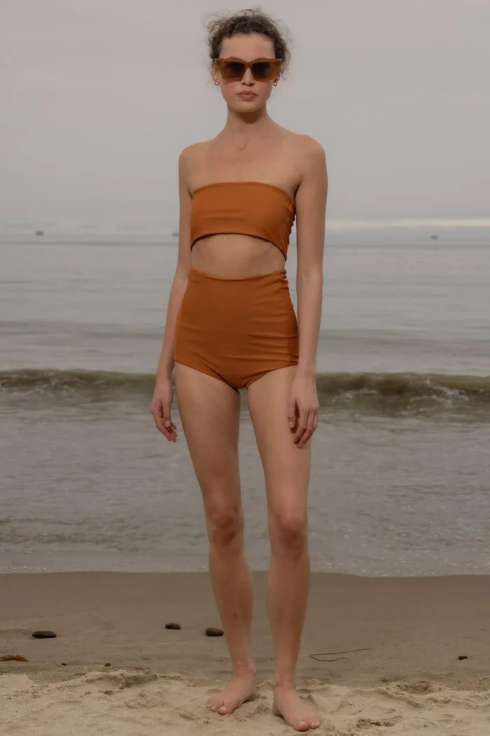 Vicent Top - Tiger Shark - Heidi Merrick