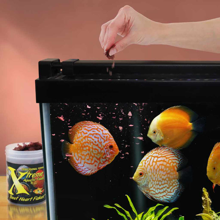 Xtreme Beef Heart Flakes - Aquarium Co - Op