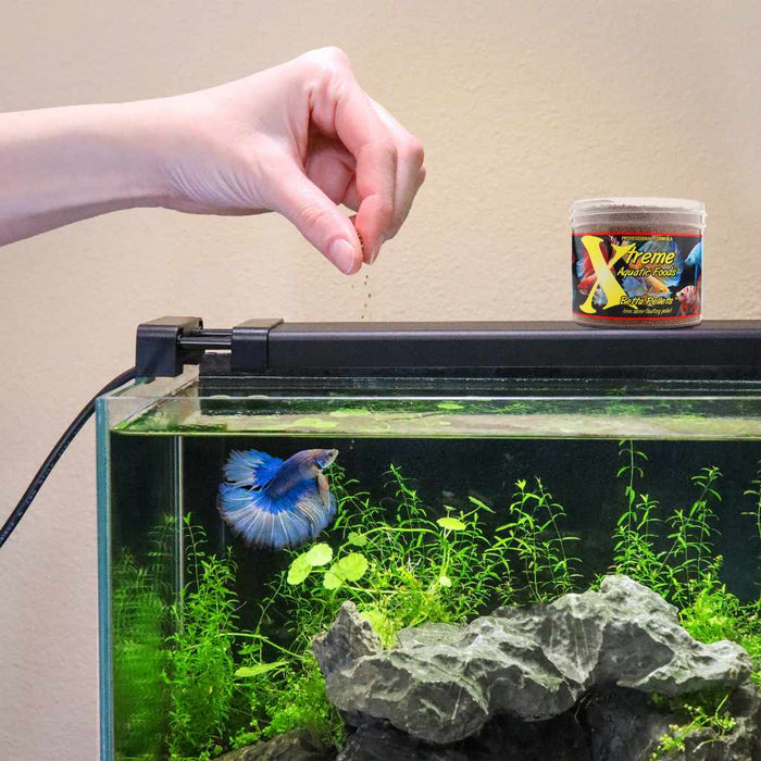 Xtreme Betta Pellets (1mm) - Aquarium Co - Op