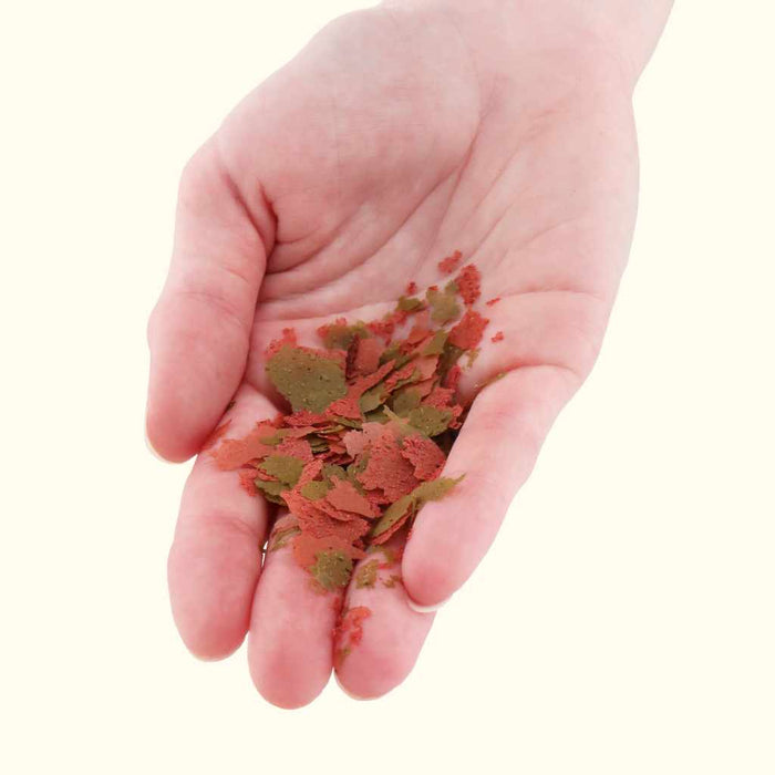 Xtreme Community Crave Flakes - Aquarium Co - Op