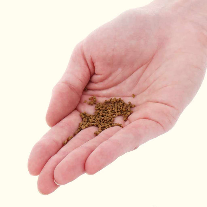 Xtreme NICE 1.5mm Semi - Floating Pellets - Aquarium Co - Op