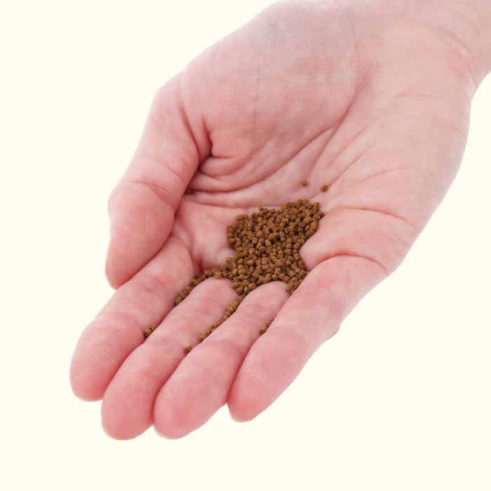 Xtreme NICE 1.5mm Slow - Sinking Pellets - Aquarium Co - Op