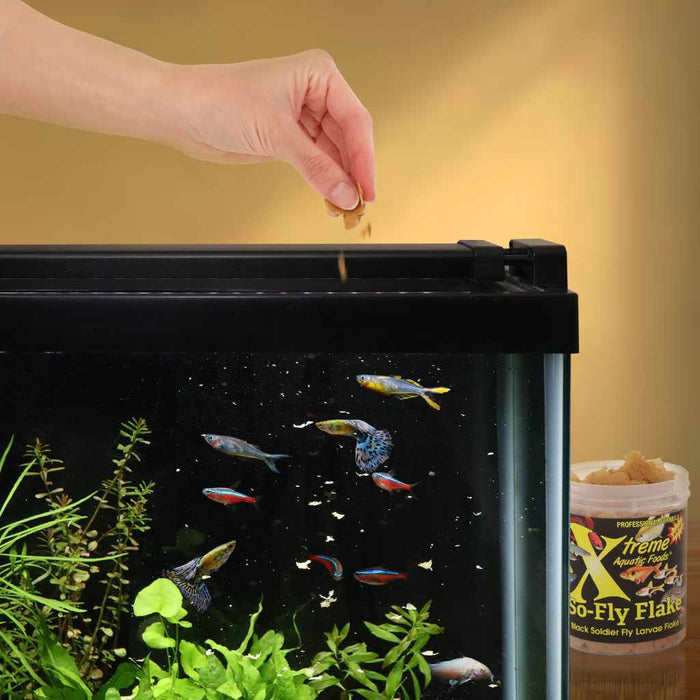 Xtreme So - Fly Flakes (Soldier Fly) - Aquarium Co - Op