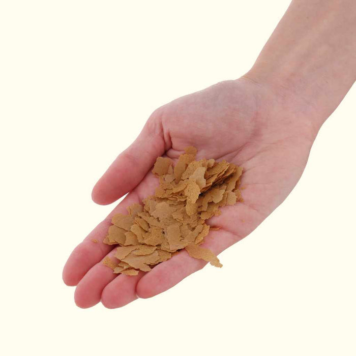 Xtreme So - Fly Flakes (Soldier Fly) - Aquarium Co - Op