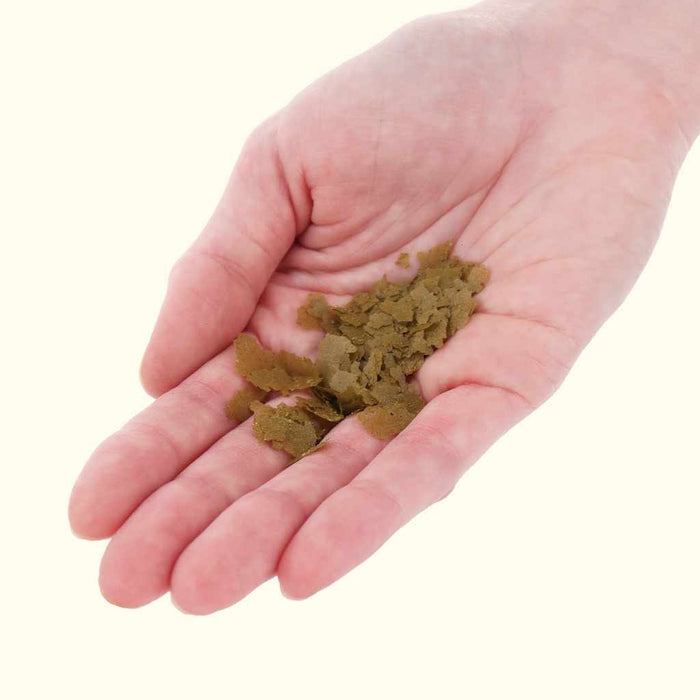 Xtreme Spirulina Flake - Aquarium Co - Op