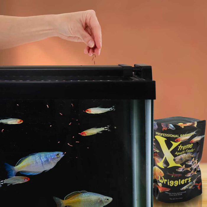 Xtreme Wrigglers - Aquarium Co - Op