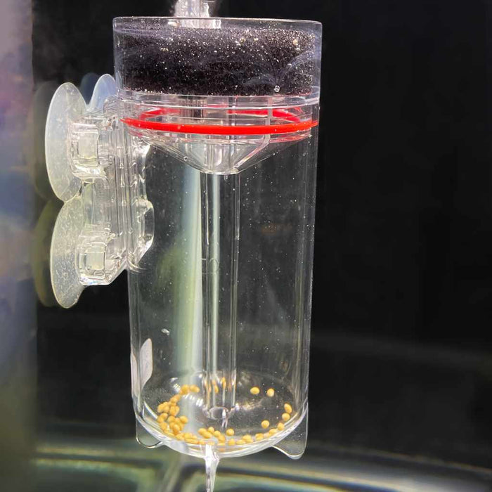 Scratch and Dent Ziss Egg Tumbler - Aquarium Co - Op