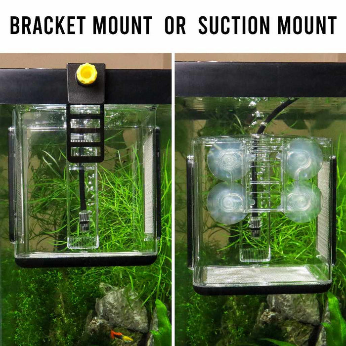 Ziss Premium Breeder Box - Aquarium Co - Op